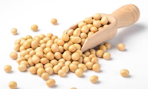 红薯|女性雌激素不足时,会加速衰老,多吃这5种食物,补充雌激素