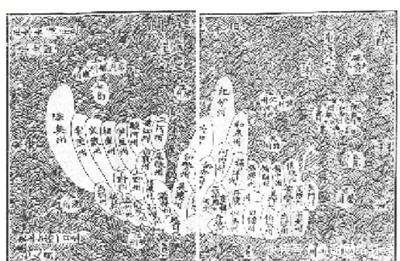 本研究|克敌制胜·他山之石·美美与共