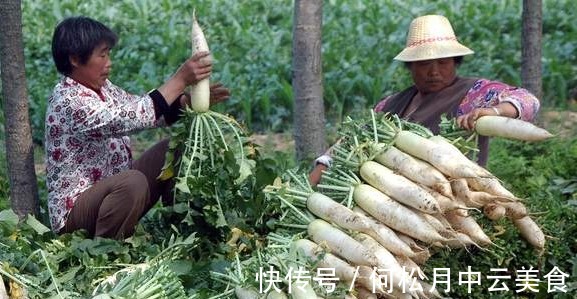 菜贩子保存萝卜，被我偷学到了，不放冰箱不土埋，久放不坏水分足！