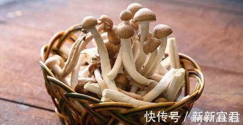 女性|女性不妨坚持吃几种食物,淡化皱纹,延缓衰老,早吃早好!