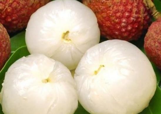 李子|到了三伏天,3种水果尽量少吃,尤其最后一种,以后最好少买