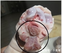 猪蹄|爱吃猪蹄的人要留意了,猪前蹄和后蹄有何区别?看后涨知识