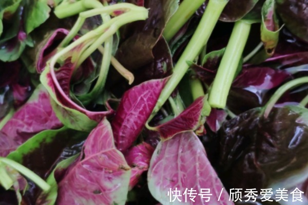 苋菜|农村随处可见的4种野菜，活血化瘀，缓解失眠，老人要多吃！