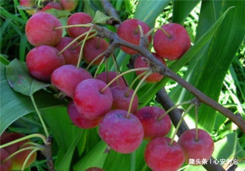 失眠|10月来了，3种食物价值高，腿不疼，腰疼，告别失眠，利于健康