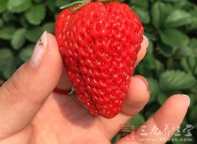 中年|9种低卡食物 畅享健康排毒