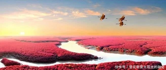  拥有|要拥有别人拿不走的东西