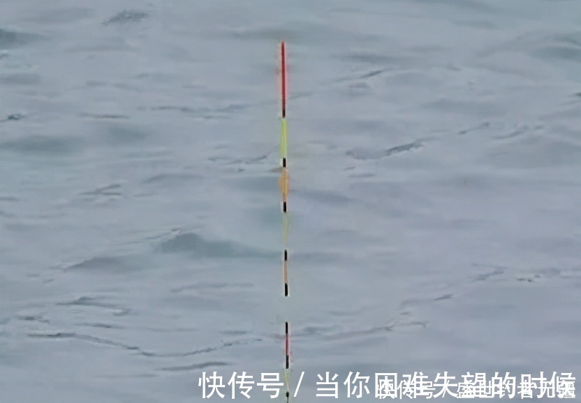 垂钓|高手教你如何钓浮,另外赠送钓浮技巧!——盛世三渔
