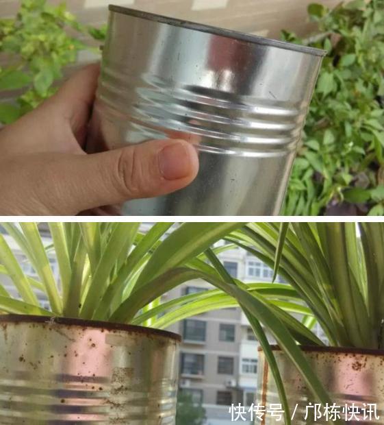 盒子|有些东西废物利用5样东西不要扔掉,稍加改造,带来惊喜