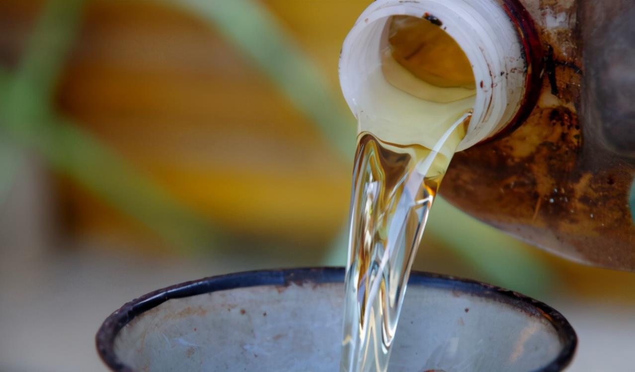 没有肥料养花,拿3样东西自制,操作简单,还能解决花钱问题