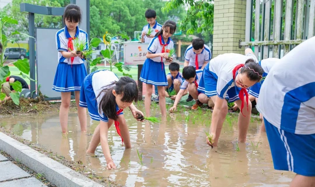 袁隆平|乾元小学打造劳育赋能“双减”新样态