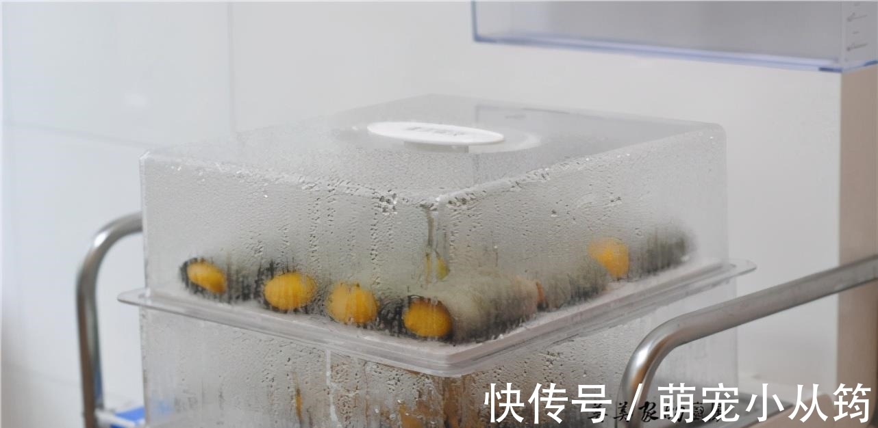 端午|端午前后,三个食材,做一道美食,孩子多吃,夏天少生病!