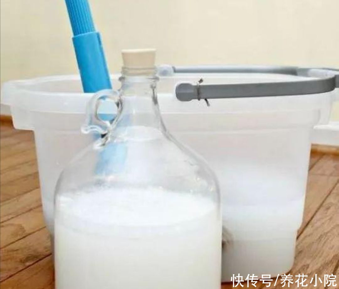 潮湿|花盆里出现小虫子,不用买杀虫剂,往里面扔点“小东西”就管用