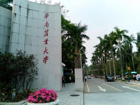 华南农业大学2020年广东省本科专业录取分数统计（含位次）