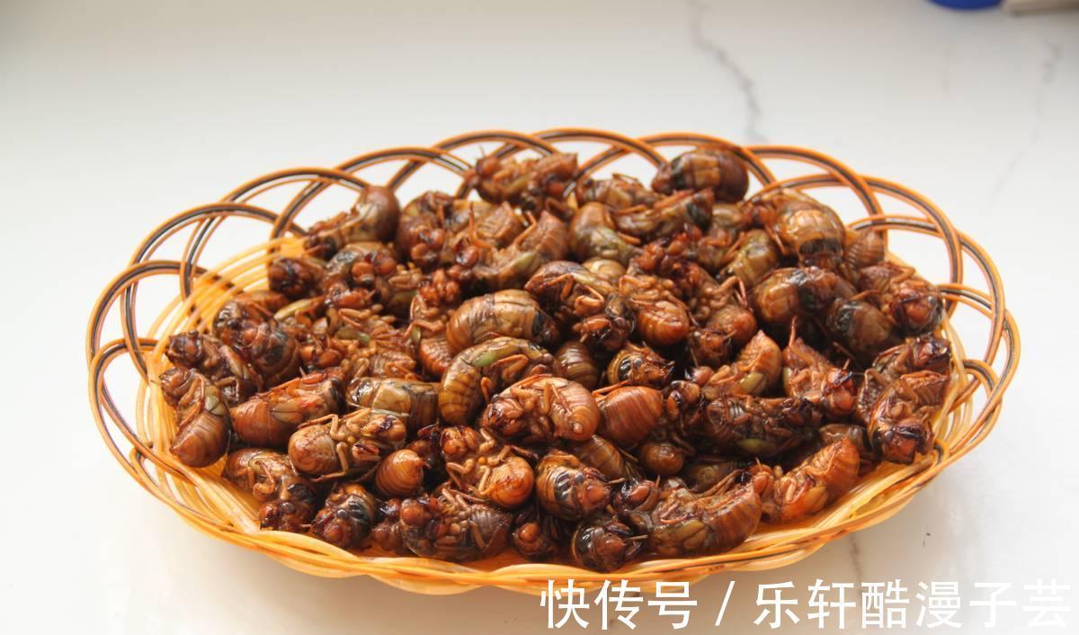 脱壳|天变冷之前,树上这个美味赶紧吃,高蛋白,错过了还要再等明年