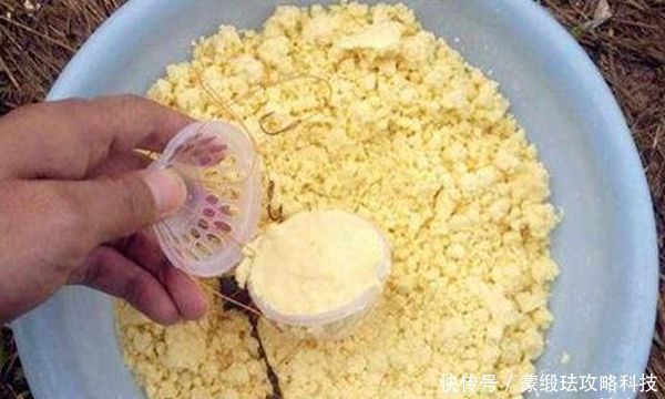 子线|手竿钓鲢鳙的4大秘诀,常用这些老招数,鲢鳙就是最好钓的鱼