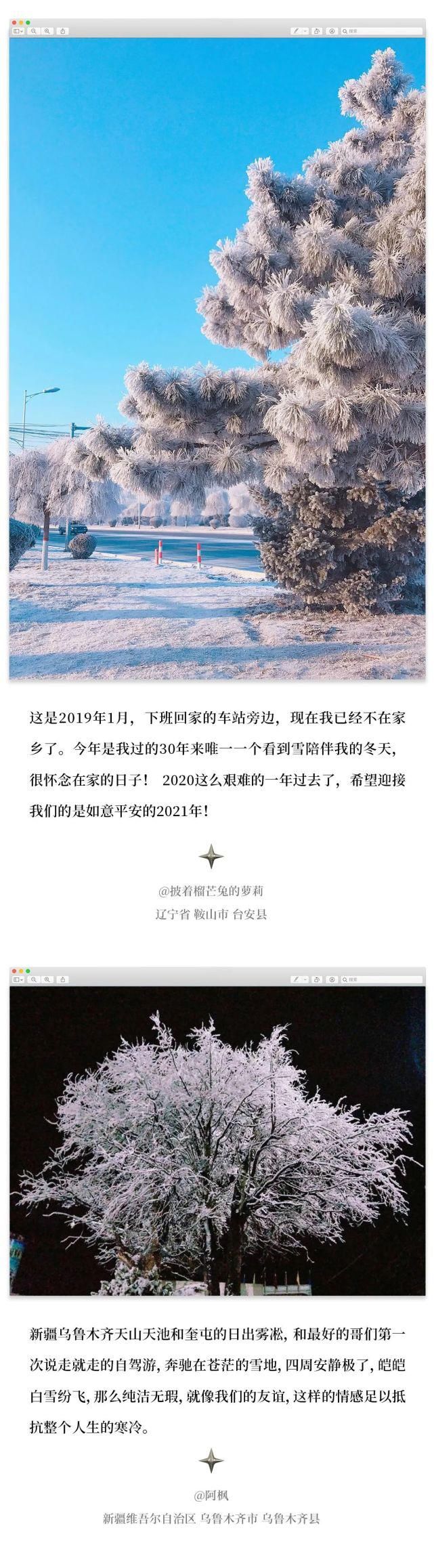 东北|每年冬天的南方人：好想在东北的雪里打滚啊啊啊啊啊啊啊！