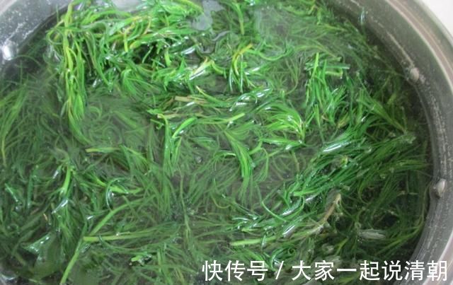 花生油|夏天,用它包饺子比肉馅的好吃,一分钱不用花,我家每周都吃3次