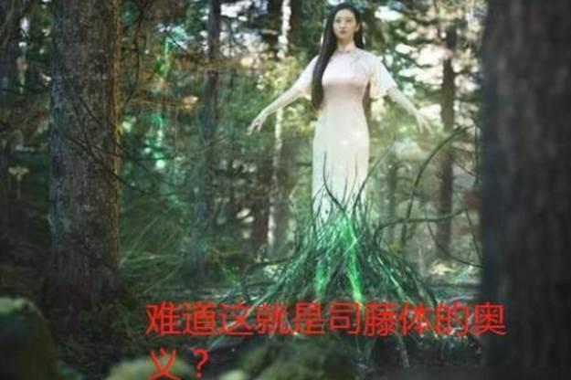 字体@初中生偏爱“司藤体”,颓废风格个性十足,老师看到却头疼