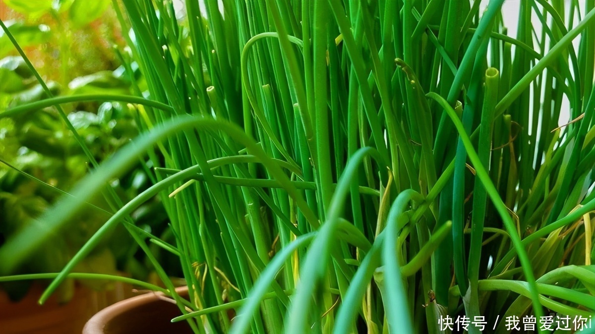 人到中年,常吃3种食物,缓解疲劳,补血养颜,清理体内毒素