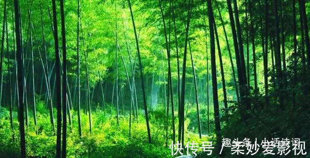 咏竹诗$李贺的一首咏竹诗,竹子的形象与诗人合二为一,读来让人感慨不已