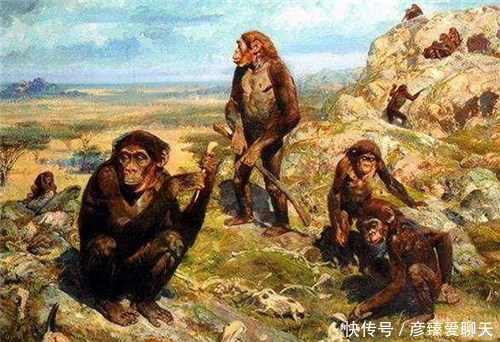 科学家发现一只基因变异黑猩猩 与人类行为相似 它能否持续进化 快资讯