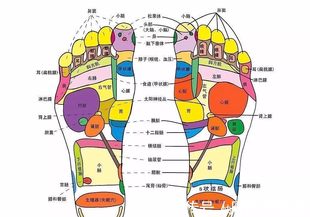 高血压|长期高血压，这个地方就长茧！每天刮5分钟，血压奇迹般降下来！