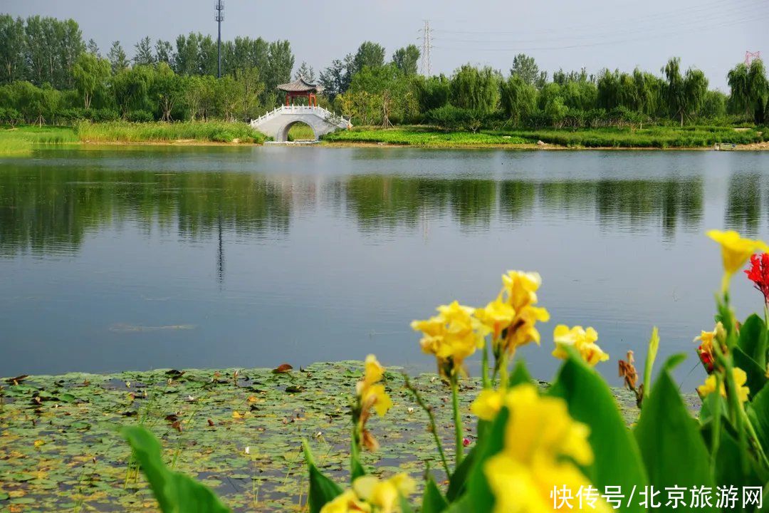 通州这条滨水线路，让您骑行游运河，把错过的所有风景都找回来！|游运河 | 艺术馆