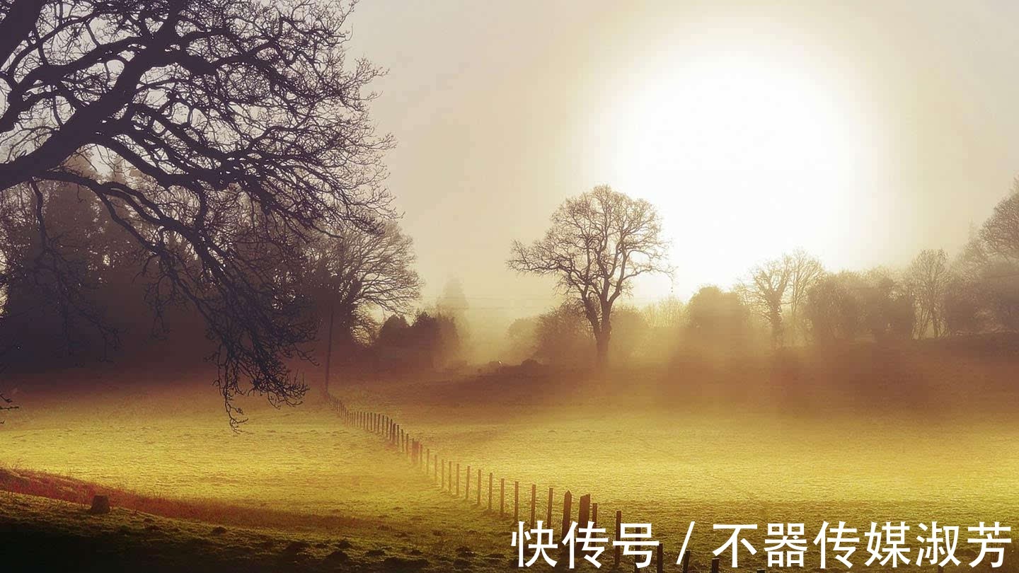 丰子恺|生活哲理：人到中年，我们应该看透的3个生活真相