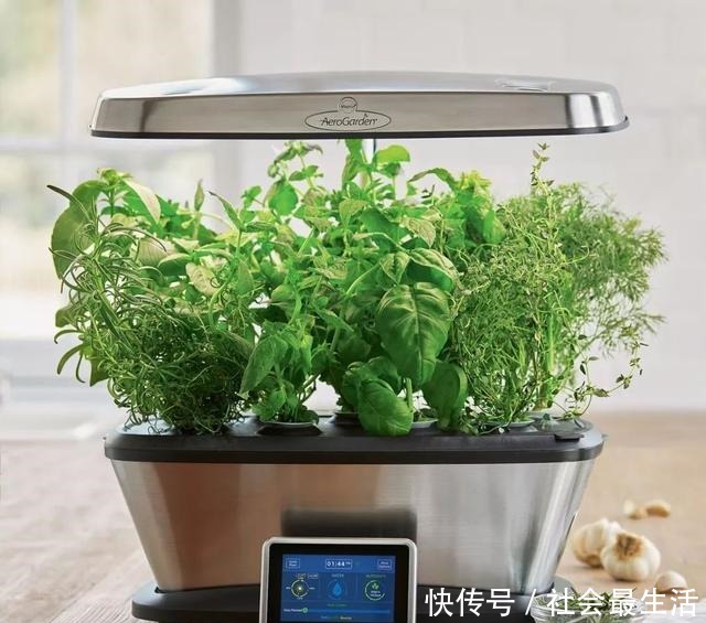 外国人发明的“室内小菜园”,一年四季长爆盆,太神奇了……!
