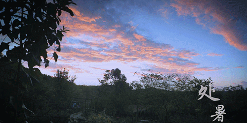 一物一生，吃完萝卜，一生系列就停在这里了吧