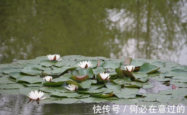 低调&做人的大智慧：低调谦虚