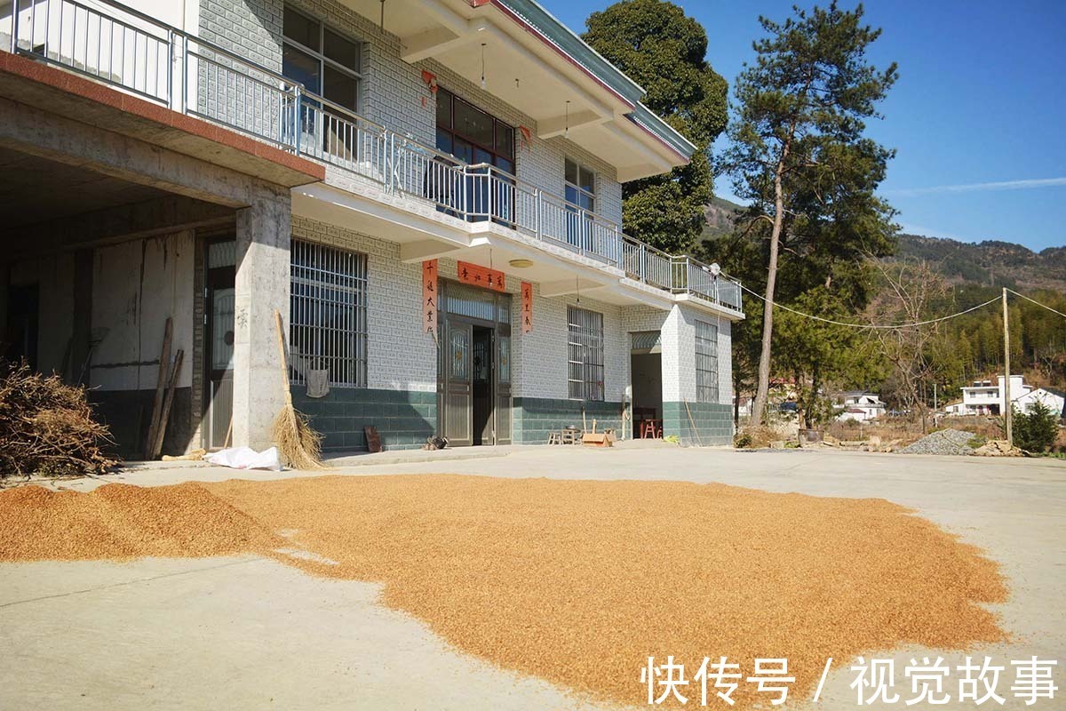 糯稻|80岁大爷住山村，种菜砍柴样样活都干，村民称会“享福”