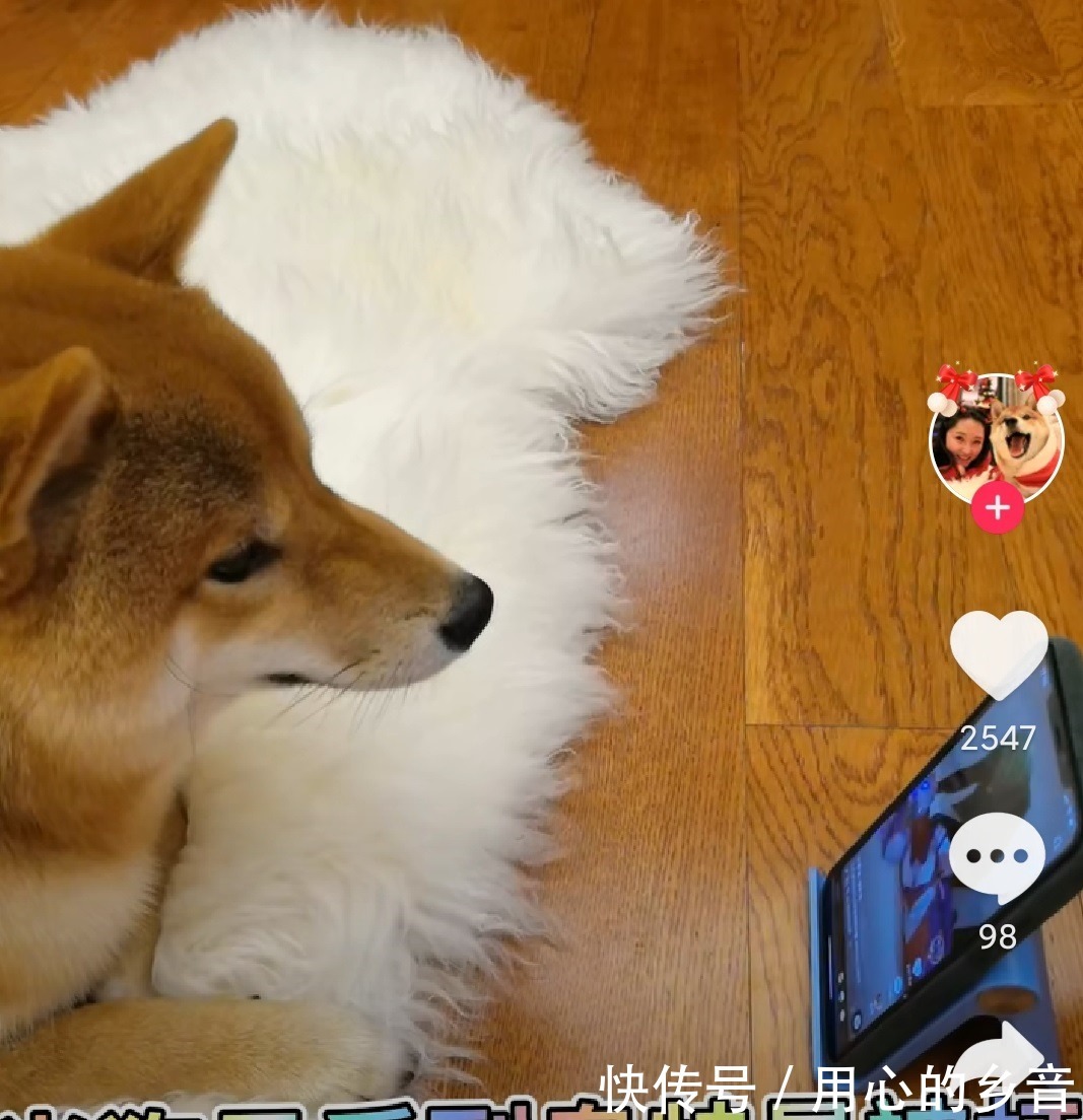 巴啦啦小魔仙|奥特曼被打败后，直接进了火锅，这就是奥特曼灭绝的原因吗