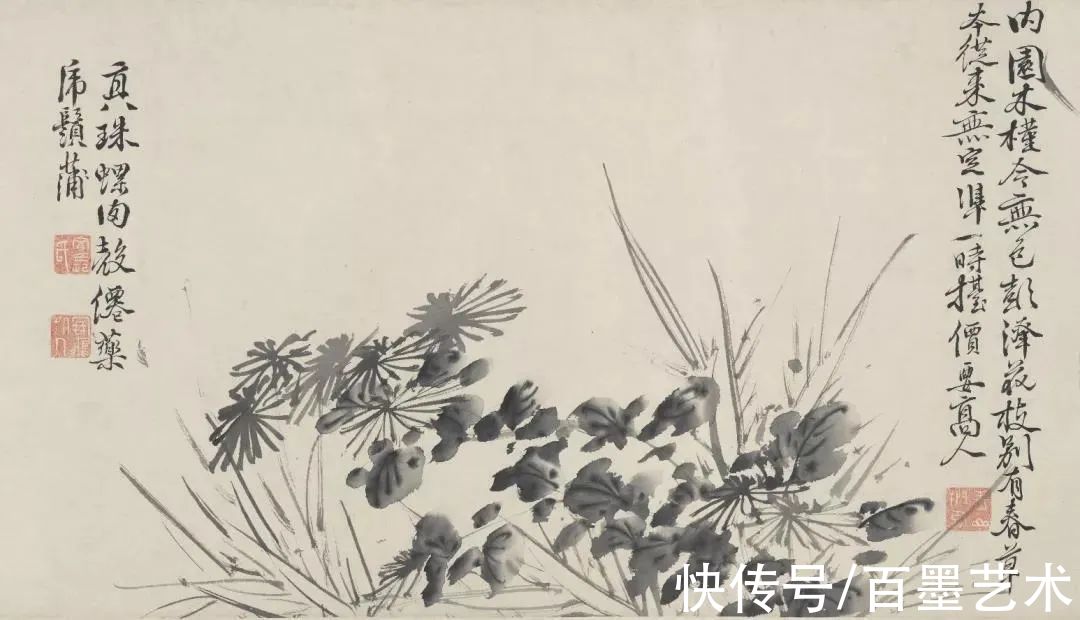 明朝@青藤白阳：明朝花鸟两大高峰