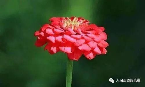 血管堵塞|65岁后的老人,选择静养好还是运动好这12种人最长寿,有你吗