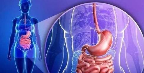 营养师|脾胃不好疾病“常捣乱”,营养师教你一招,养胃也养人!