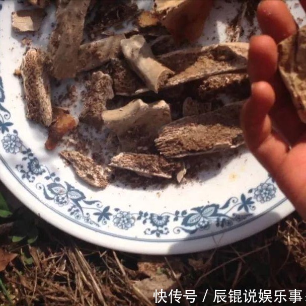 松针土|6种“垃圾”不要扔,拿来养花效果棒,省下一笔钱,废物又利用