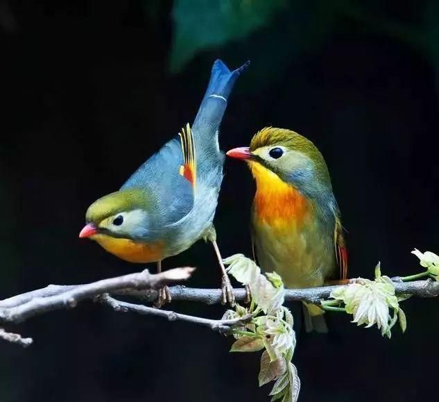 白居易|白居易一首冷门情诗，通俗易懂，感情真挚，很多人以为是现代诗