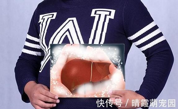 营养物质|养肝就是养命!这4个“臭毛病”不改,肝脏迟早“伤痕累累”