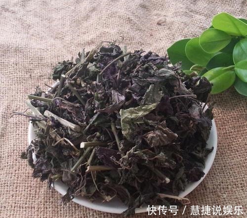 乡下田间地头常见的“紫苏”,8大功效,教你全部吃出来!