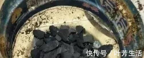 根系|花盆里埋点“它”，不烂根，不黄叶，杀菌消毒还透气，根壮花还旺