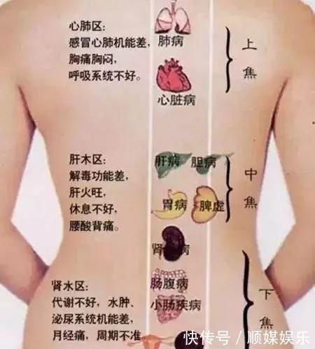 人体|搞懂了人体“三焦”,所有疑难杂症,都迎刃而解