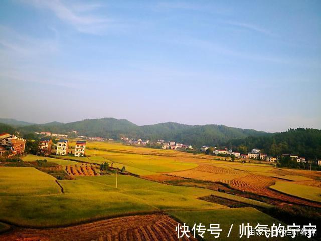 秋韵#【七绝·秋韵】清风伴我不孤行,晨起轩窗有鸟鸣
