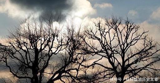 王弗|苏轼最凄美的一首词，全词无一个“悲”字，却悲得荡气回肠