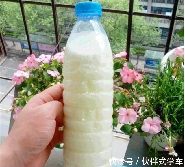 植株|有1种“体液”，人们常浪费，殊不知，是花草最爱，比黄豆水都肥！