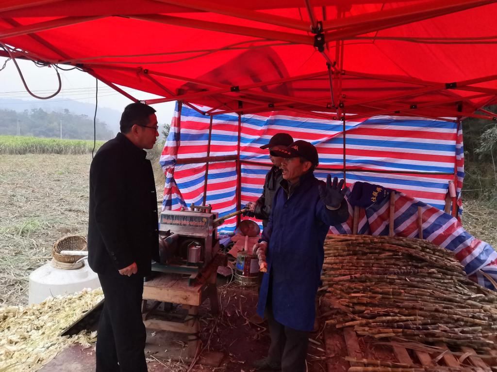  红糖|湖口这个村137年前就会这样把甘蔗做成糖，你吃过吗？