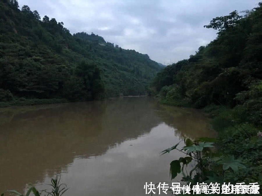 钓鱼|洪水过后去钓鱼,这么大的黄颡鱼,还是头一次钓获