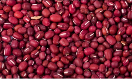 养生|4种豆子不同功效，吃对了可以养生长寿，你还不知道太可惜了！