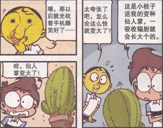 快乐的假期要结束,奋豆吐槽睁眼闭眼假期就没了!仙人掌有大作用