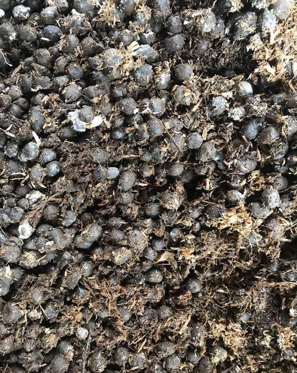 此物件,肥效是磷酸二氢钾的2倍,人见人讨厌,殊不知养花一级棒